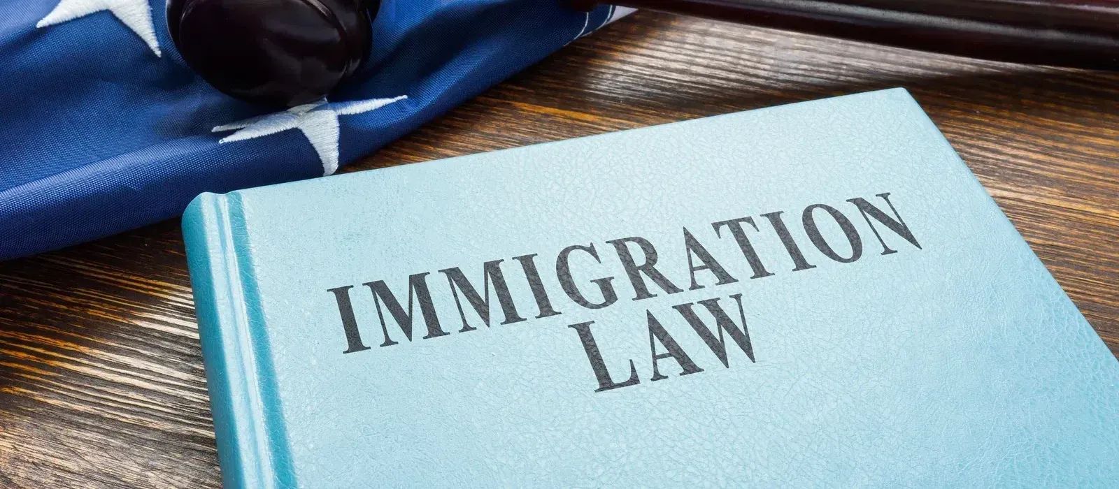 Understanding U.S. Immigration Law: A Beginner's Guide to Your Rights and Options